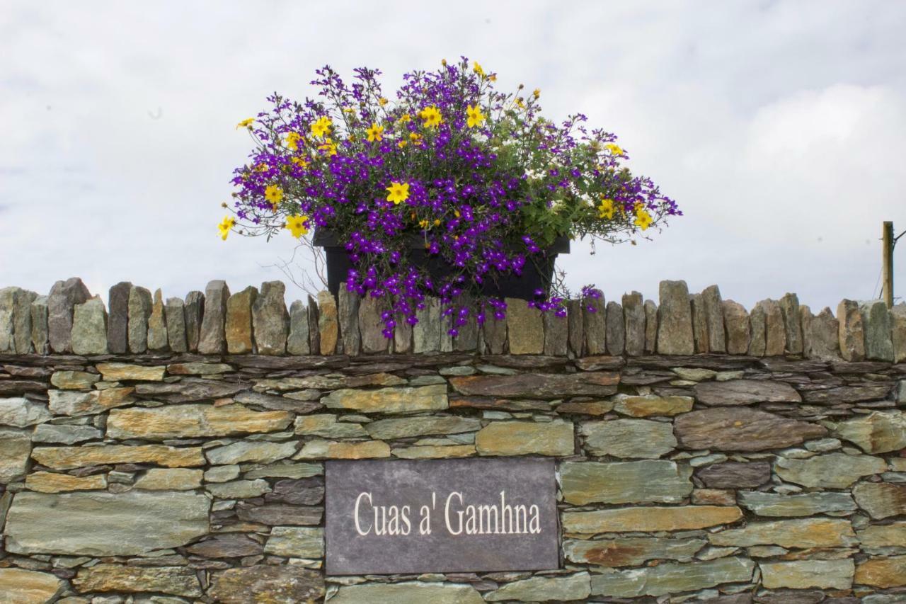 Bed and Breakfast Cuas A' Gamhna Valentia Island Exterior foto